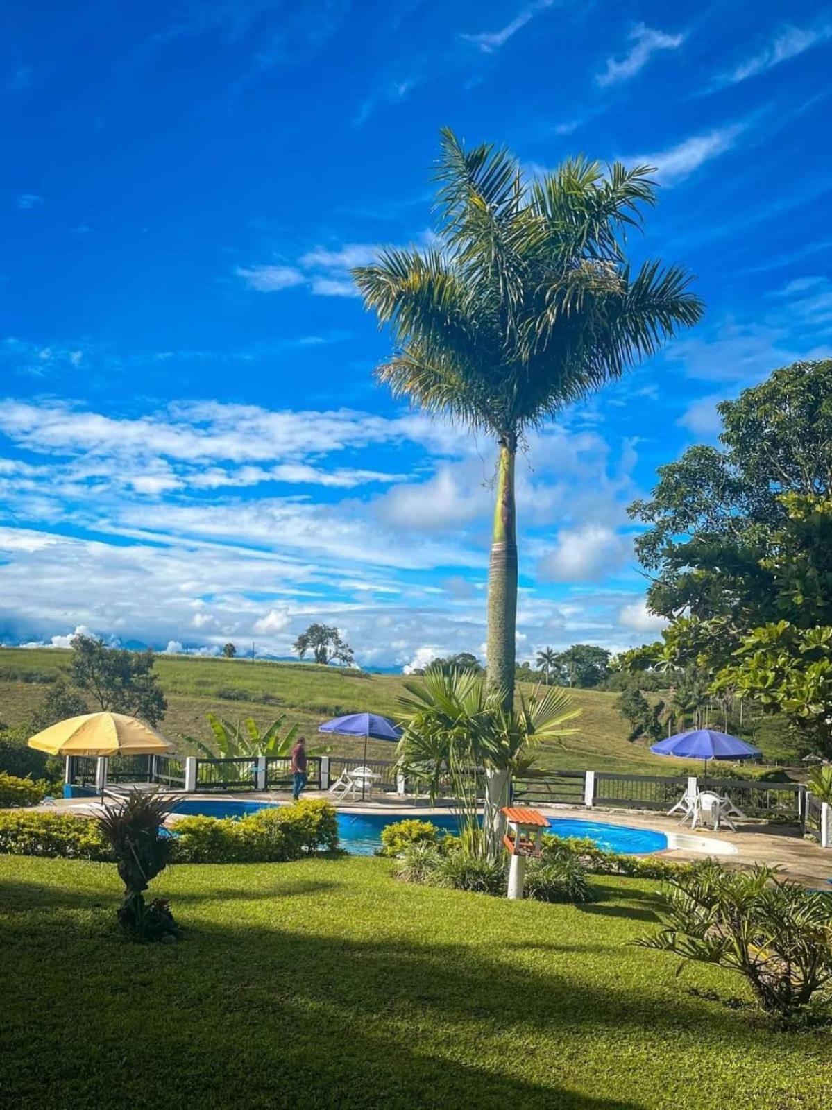 Finca Hotel Palmas Frente A Panaca Quimbaya Exteriér fotografie