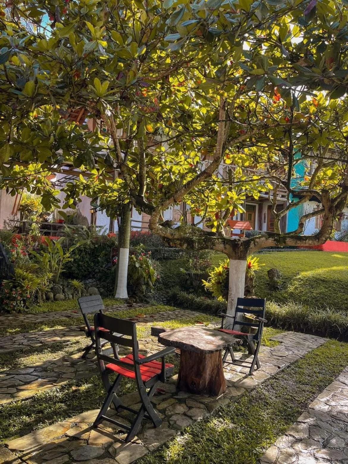 Finca Hotel Palmas Frente A Panaca Quimbaya Exteriér fotografie