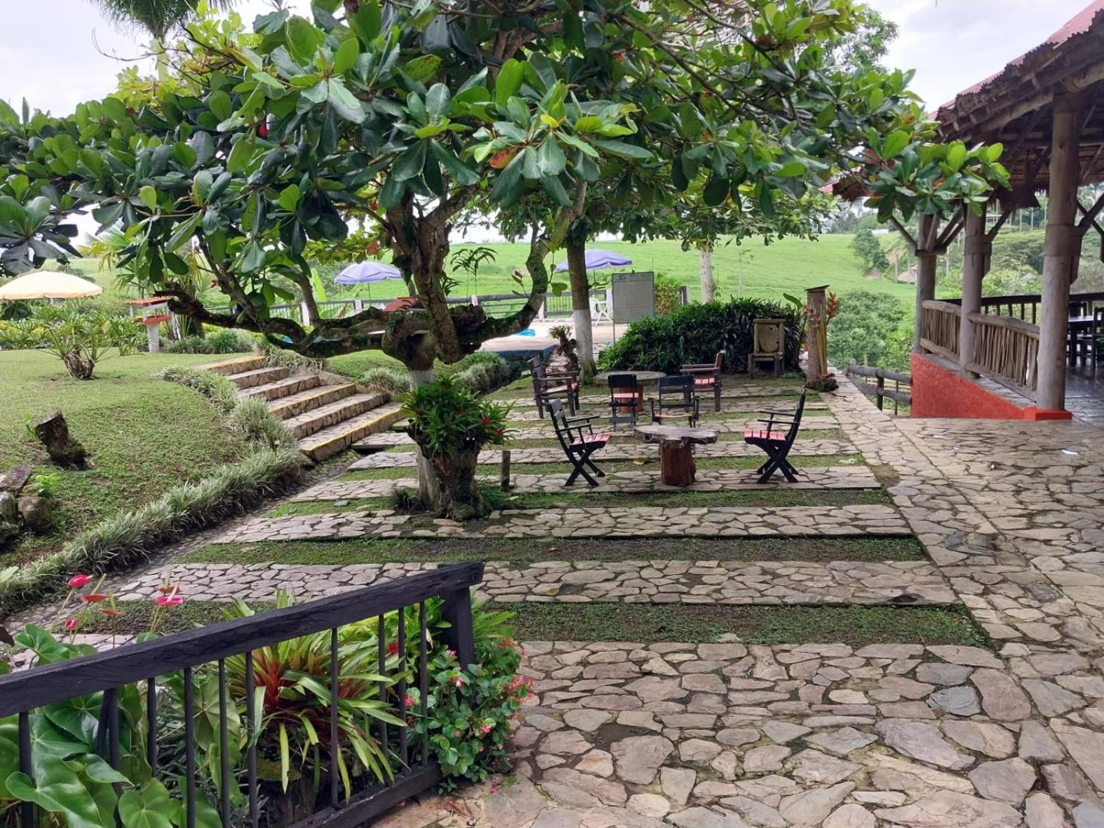 Finca Hotel Palmas Frente A Panaca Quimbaya Exteriér fotografie